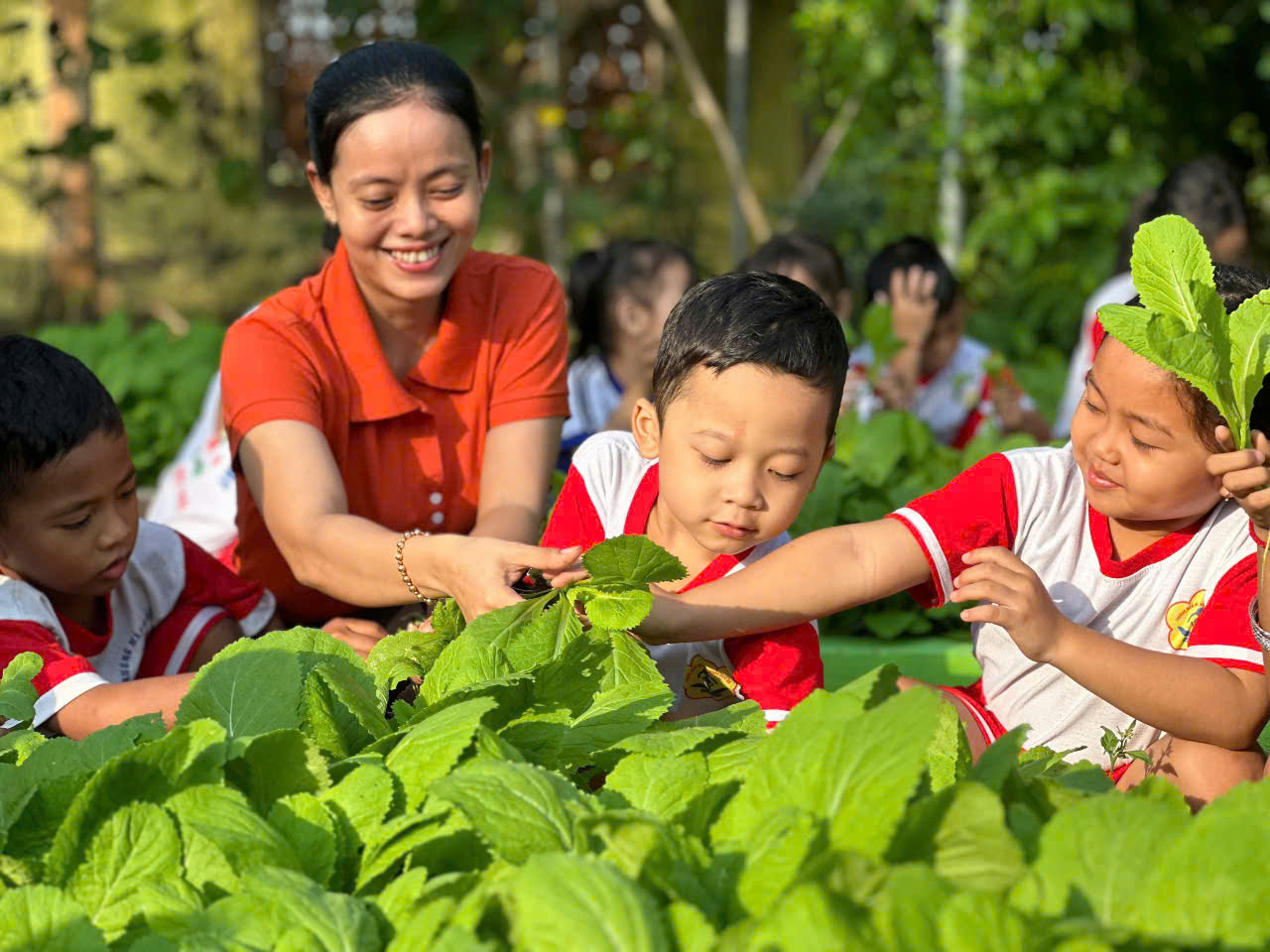 Tiếp tục phát huy mô hình “Trồng rau sạch phục vụ bếp ăn nhà trẻ” tại trường Mầm non Phú Mỹ